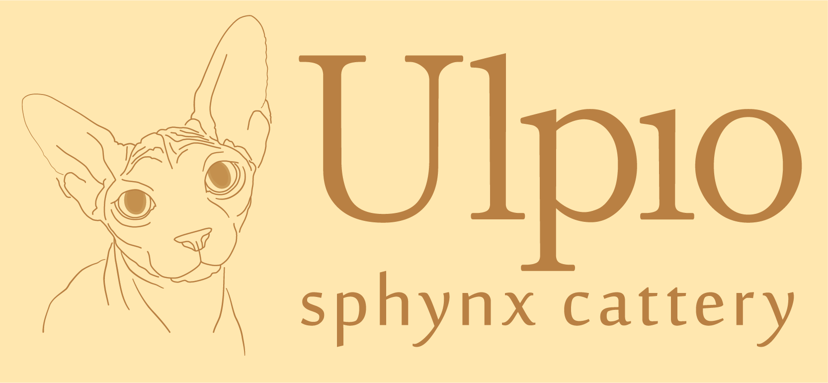 Ulpio Sphynx 